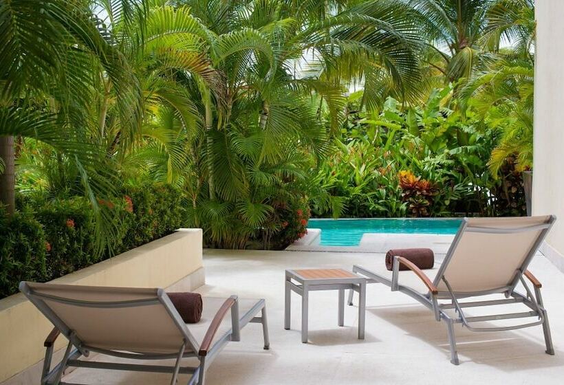סוויטת ג'וניור, Dreams Vallarta Bay Resorts & Spa   All Inclusive