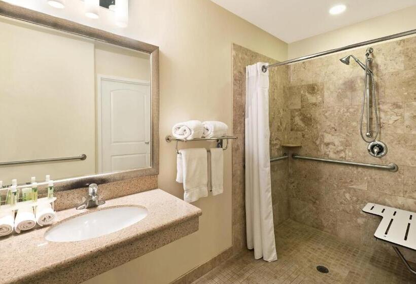 Номер Стандарт Кровать Кинг Адаптированный для Инвалидов, Holiday Inn Express & Suites Casa Grande, An Ihg