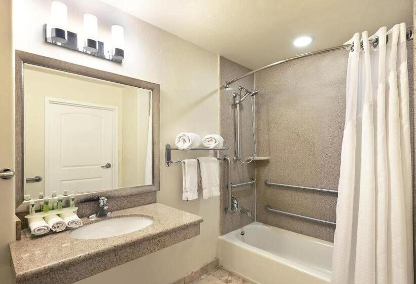 Номер Стандарт Кровать Квин Адаптированный для Инвалидов, Holiday Inn Express & Suites Casa Grande, An Ihg