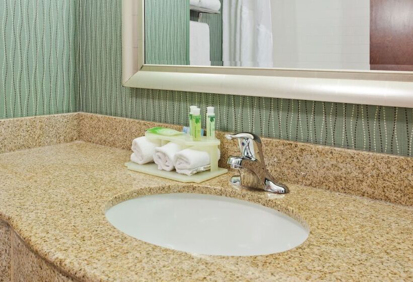 Люкс, Holiday Inn Express Hotel & Suites Cordele North By Ihg