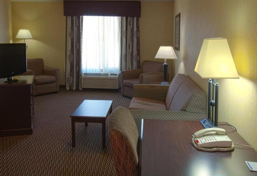 Люкс Кровать Кинг, Holiday Inn Express & Suites Nampa   Idaho Center, An Ihg