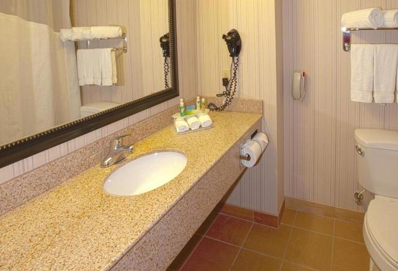Стандартный Номер Кровать Кинг, Holiday Inn Express & Suites Nampa   Idaho Center, An Ihg