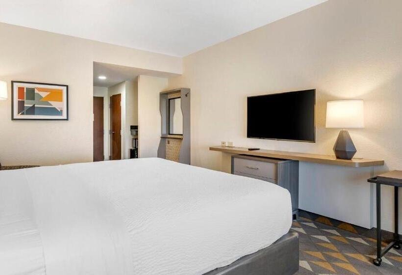 اتاق استاندارد با تخت بزرگ, Holiday Inn Louisville Airport South, An Ihg