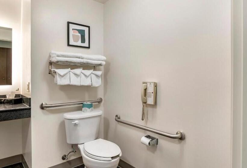 اتاق استاندارد با تخت بزرگ برای معلولان, Holiday Inn Louisville Airport South, An Ihg