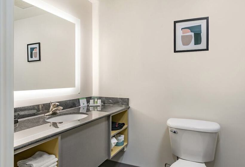 اتاق استاندارد, Holiday Inn Louisville Airport South, An Ihg
