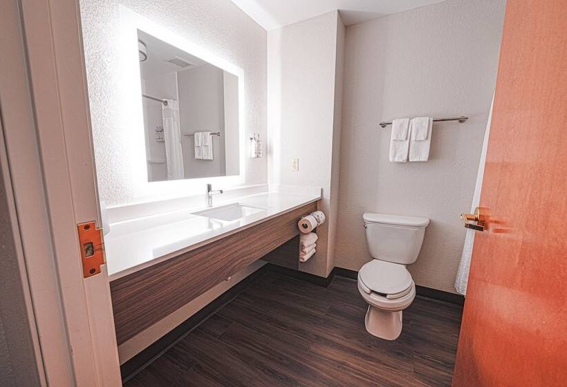 장애인을 위한 스위트, Holiday Inn Express Hotel & Suites East Lansing, An Ihg