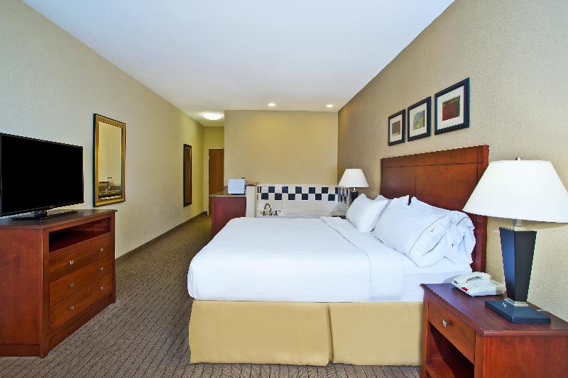 سوئیت با تخت بزرگ, Holiday Inn Express Hotel & Suites East Lansing, An Ihg