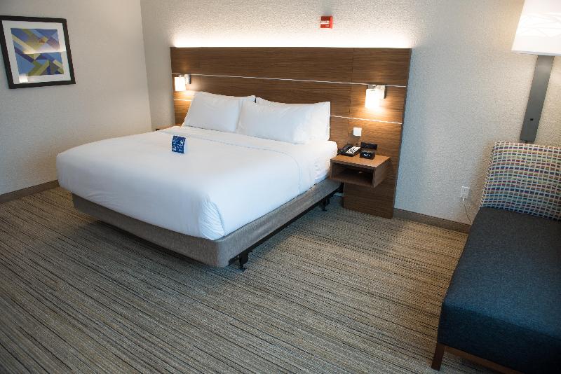 스탠다드 룸 킹사이즈 침대, Holiday Inn Express Hotel & Suites East Lansing, An Ihg