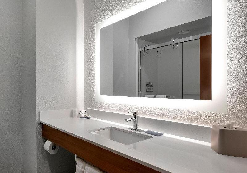 Люкс Кровать Кинг, Holiday Inn Express Hotel & Suites Lufkin South, An Ihg
