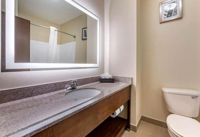 Номер Стандарт, Comfort Inn & Suites