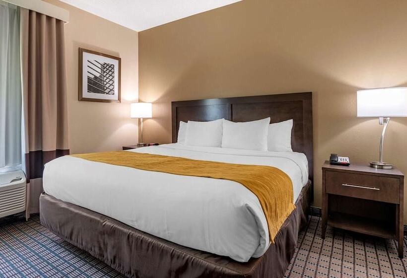 Люкс, Comfort Inn & Suites