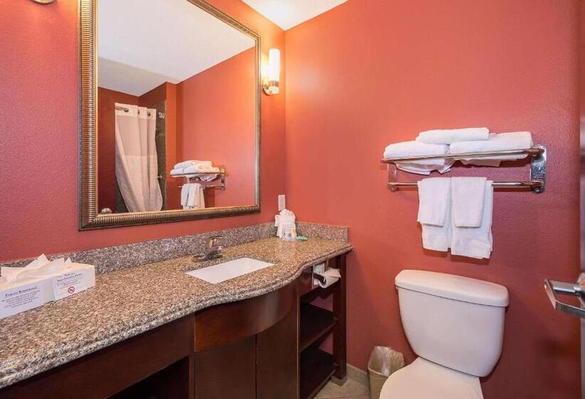 스위트 킹사이즈 침대, Comfort Inn & Suites Maingate South