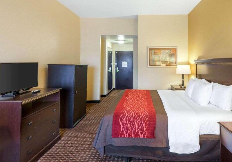 스탠다드 룸 킹사이즈 침대, Comfort Inn & Suites Regional Medical Center
