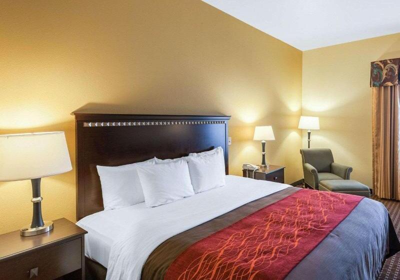 스탠다드 룸, Comfort Inn & Suites Regional Medical Center