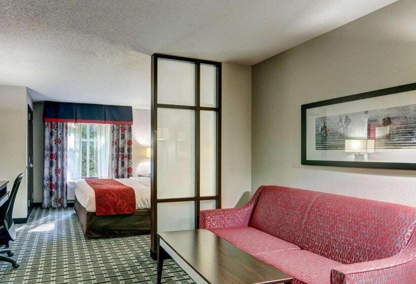 带大床的套房, Comfort Suites Williamsburg Historic Area