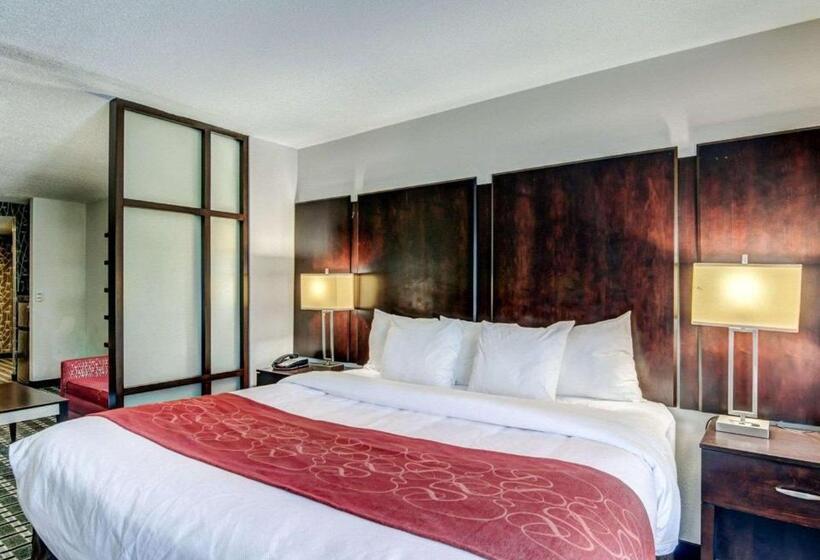 Suíte Cama King, Comfort Suites Williamsburg Historic Area