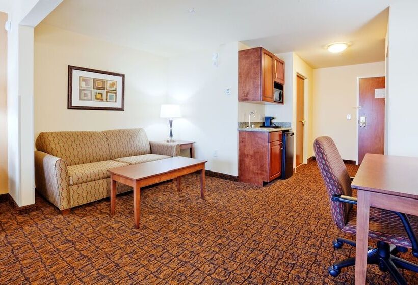 Люкс Адаптированный для Инвалидов, Holiday Inn Express Hotel & Suites Mount Airy, An Ihg