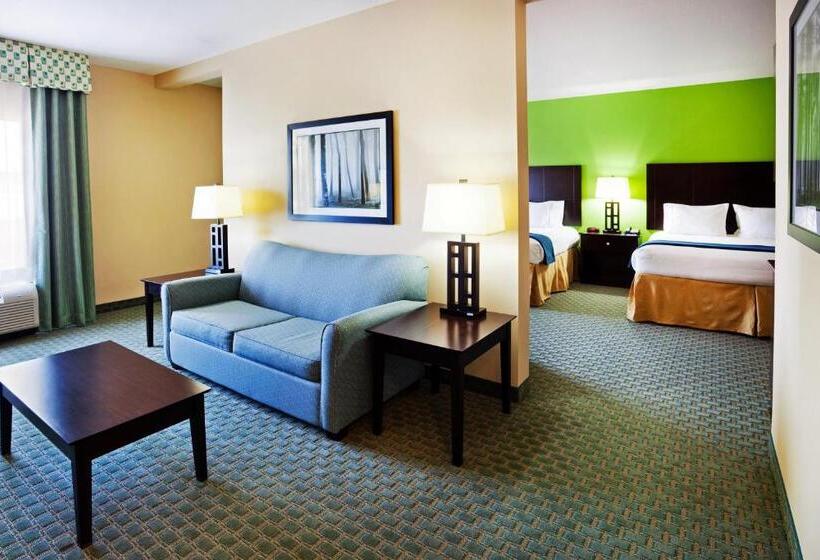 总统套房, Holiday Inn Express Hotel & Suites Newport South, An Ihg