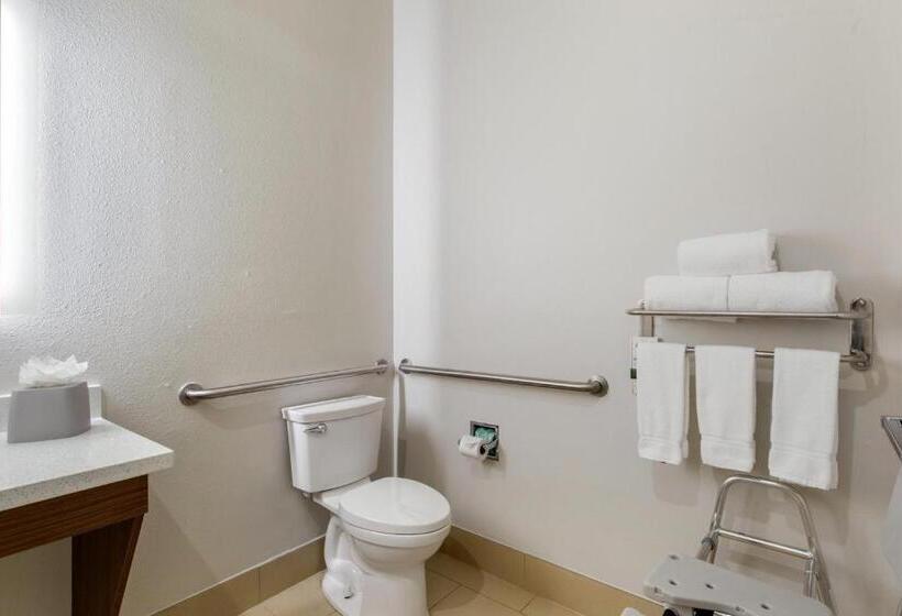 Habitació Estàndard Llit King Adaptada per a persones amb mobilitat reduïda, Holiday Inn Express Houston Alvin, An Ihg