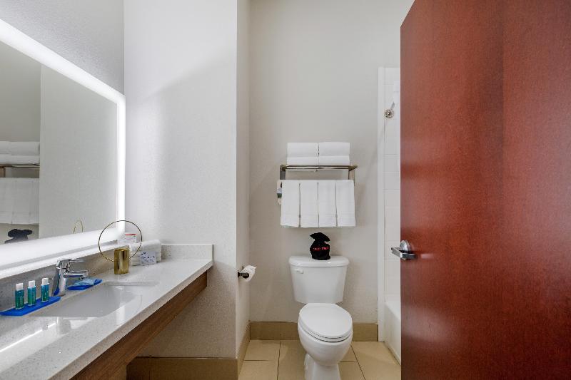Habitació Estàndard Llit King, Holiday Inn Express Houston Alvin, An Ihg