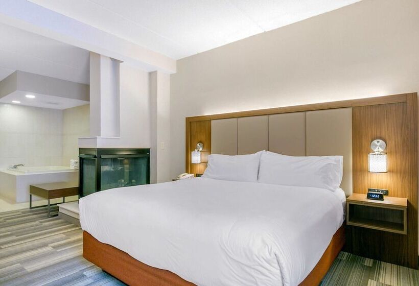 스위트, Holiday Inn Express Mount Arlington, An Ihg