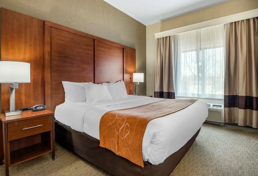 Люкс, Comfort Suites Merrillville Near Us 30