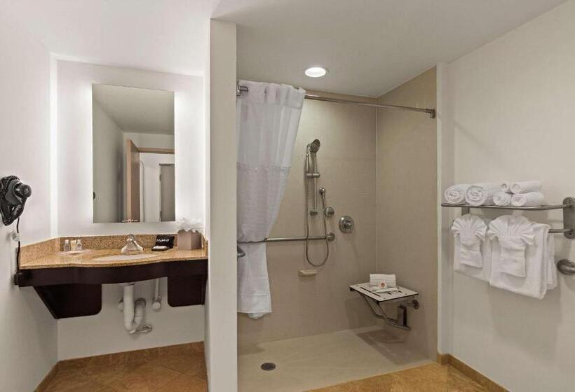 Люкс Адаптированный для Инвалидов, Comfort Suites Vero Beach I95