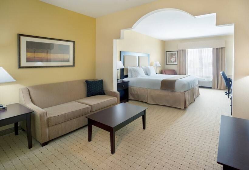 适合残疾人士使用的套间, Holiday Inn Express Georgetown, An Ihg