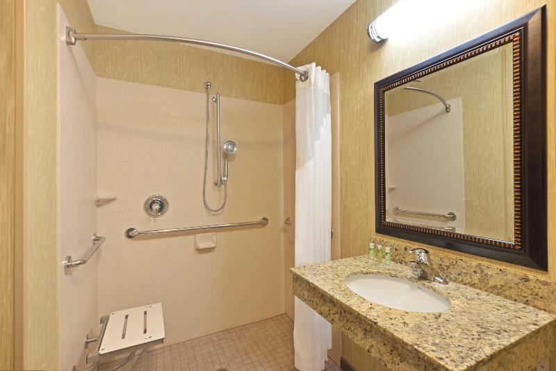 장애인을 위한 킹사이즈 침대 스탠다드 룸, Holiday Inn Express Richfield, An Ihg