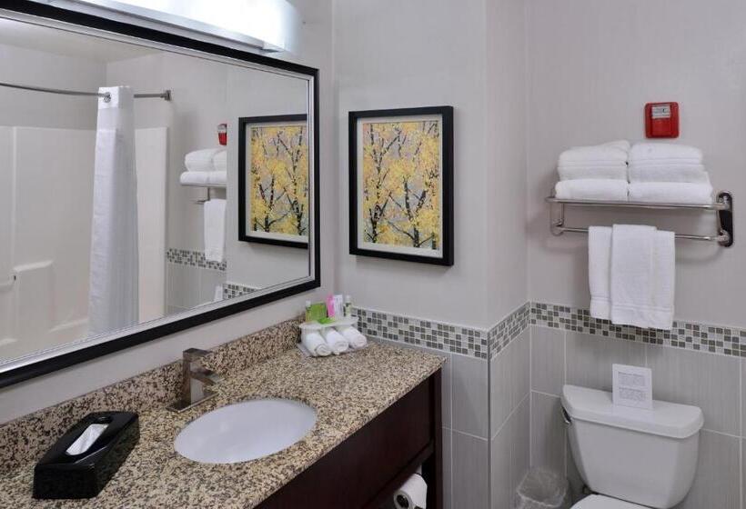 Люкс, Holiday Inn Express Hotel & Suites Milwaukee New Berlin, An Ihg
