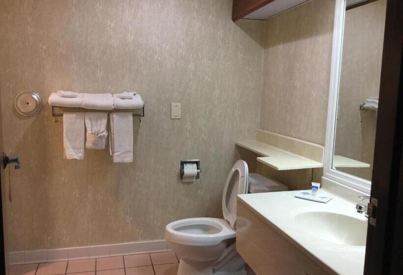 Стандартный Номер Кровать Кинг, Americas Best Value Inn And Suites Saint Charles