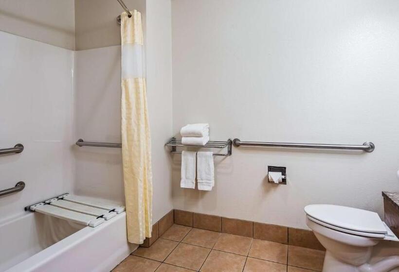 Номер Стандарт Адаптированный для Инвалидов, Best Western Clubhouse Inn & Suites