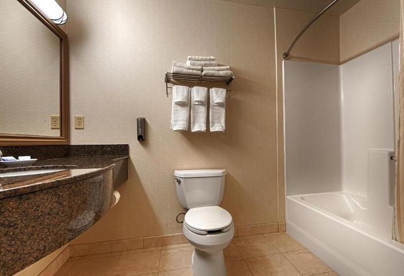 Номер Стандарт Кровать Квин Адаптированный для Инвалидов, Best Western Plus Lake Elsinore Inn & Suites