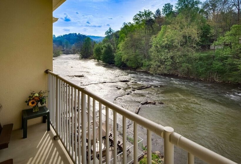 Люкс, Best Western Plus River Escape Sylva / Dillsboro