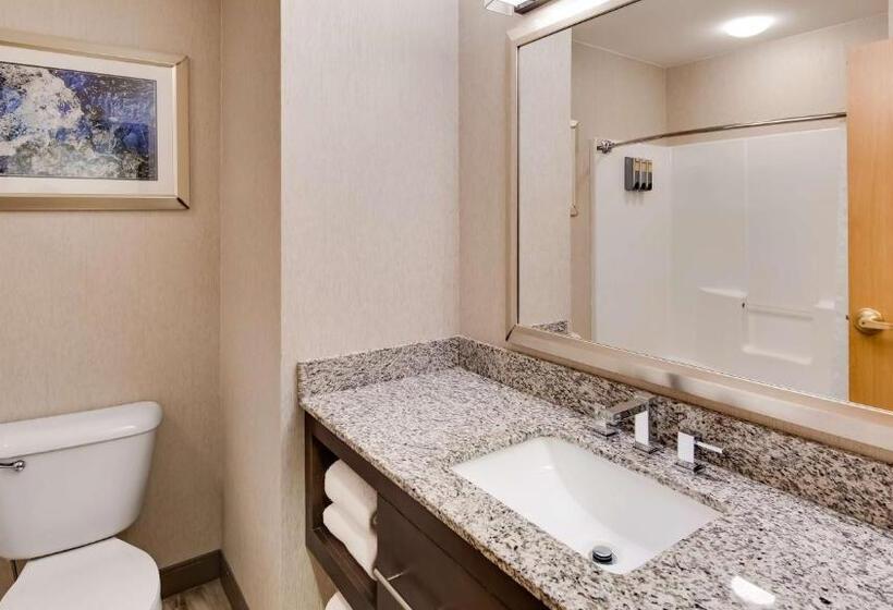 Люкс Кровать Кинг, Best Western Plus River Escape Sylva / Dillsboro