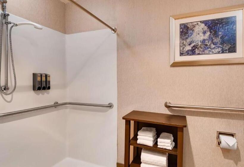Стандартный Номер Кровать Кинг, Best Western Plus River Escape Sylva / Dillsboro