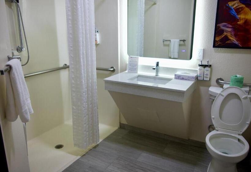 Номер Стандарт Адаптированный для Инвалидов, Candlewood Suites Harrisonburg, An Ihg