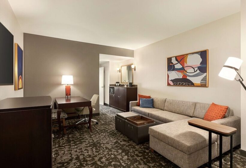 スイート, Embassy Suites By Hilton Orlando Lake Buena Vista South