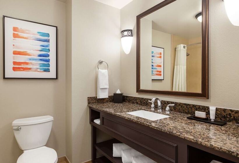 デラックススイート, Embassy Suites By Hilton Orlando Lake Buena Vista South