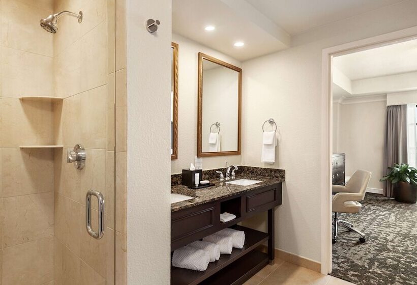 デラックススイート, Embassy Suites By Hilton Orlando Lake Buena Vista South