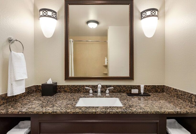 プレミアムスイート, Embassy Suites By Hilton Orlando Lake Buena Vista South
