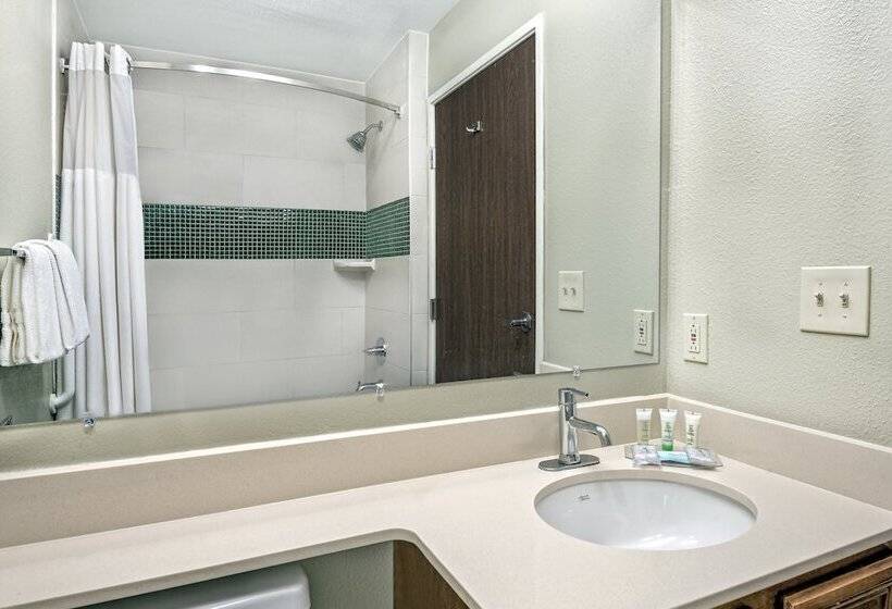 מיטת קינג בסוויטה, Staybridge Suites Lubbock   University Area, An Ihg