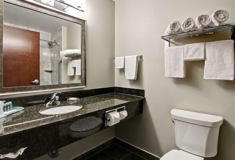 ２ダブルベッドのスタンダードルーム, Best Western Plus Brandon Inn