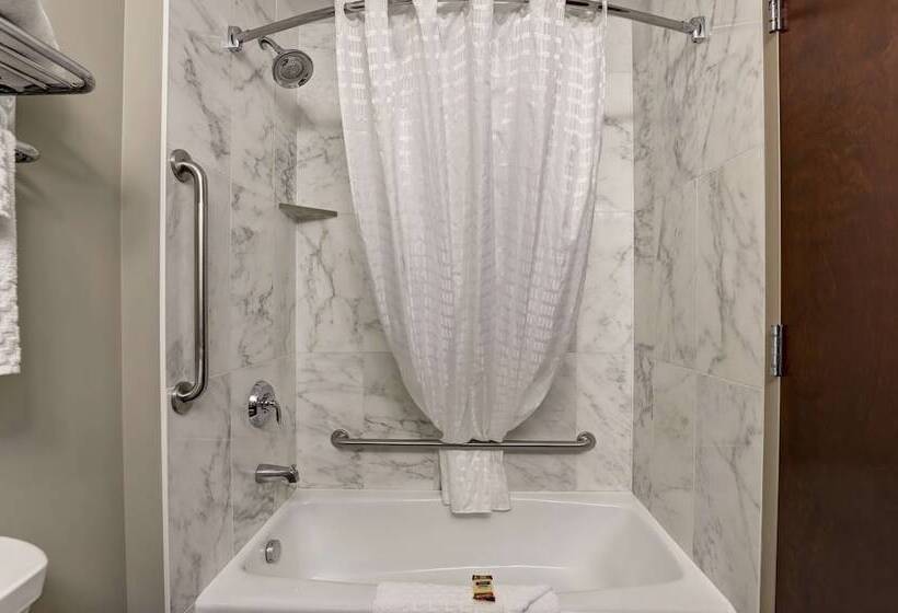 ２ダブルベッドのスタンダードルーム, Best Western Plus Brandon Inn
