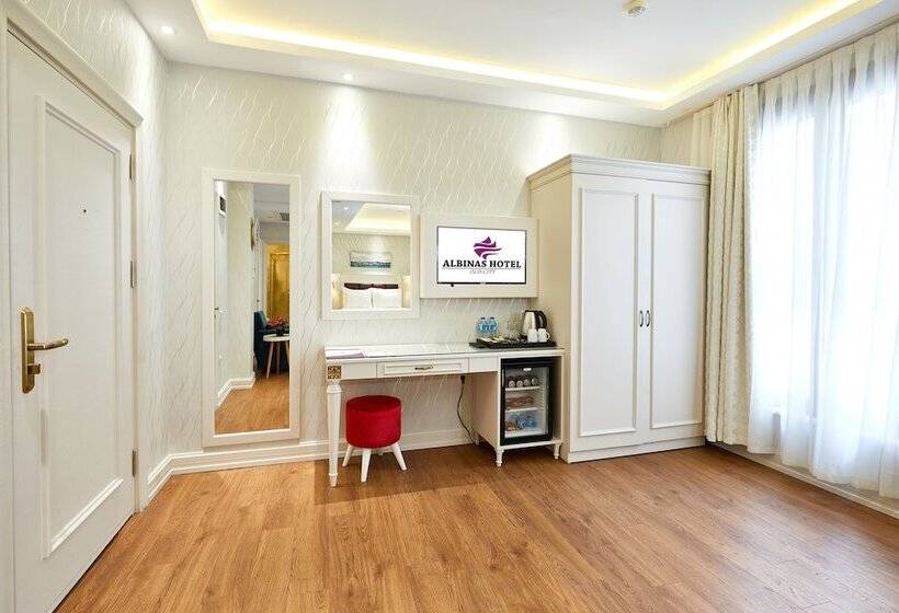 スタンダードスタジオ, Albinas Hotel Old City