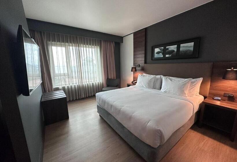 اتاق استاندارد با تخت بزرگ, Courtyard By Marriott Puerto Montt