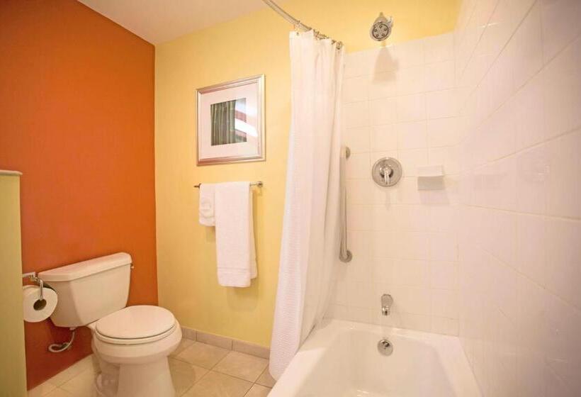 اتاق استاندارد با تخت بزرگ, Courtyard By Marriott Paramaribo