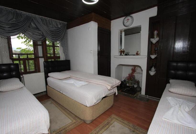 Номер Стандарт Трехместный, Efe Guest House