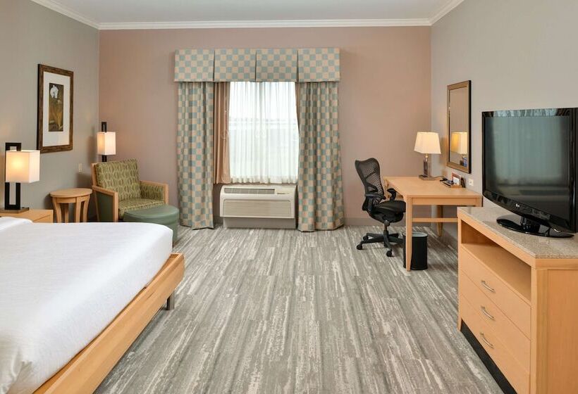 适合残疾人士使用的带超级大床的标准间, Hilton Garden Inn Denton