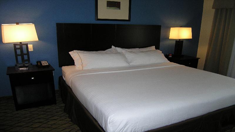 장애인을 위한 킹사이즈 침대 스탠다드 룸, Holiday Inn Express & Suites Belle Vernon By Ihg